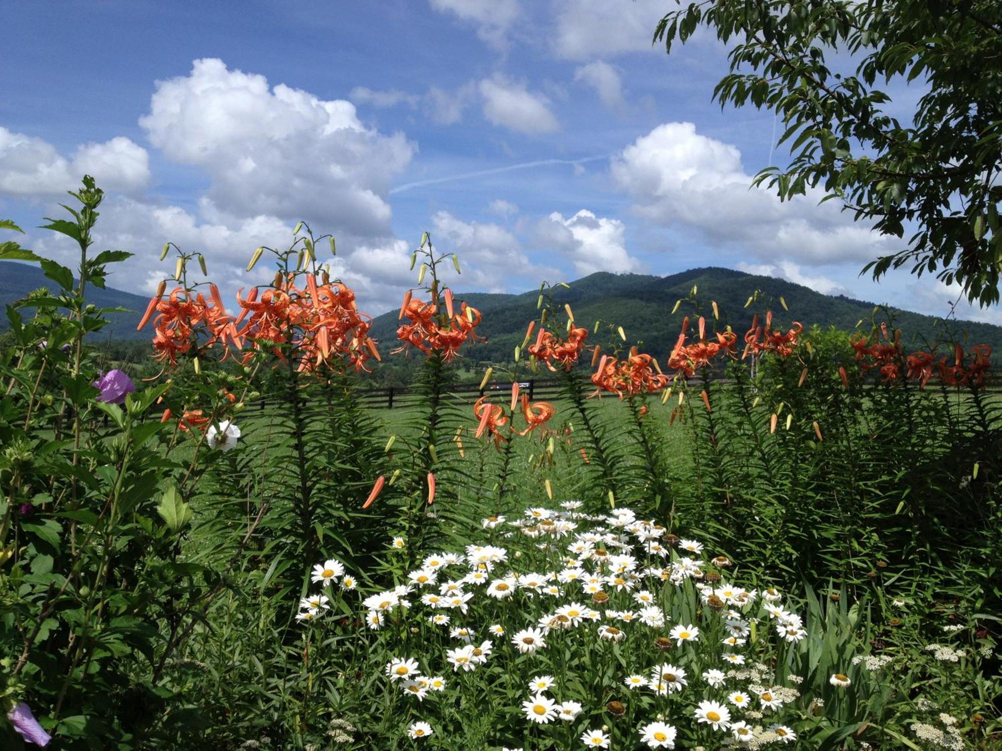 Montfair Resort Farm Crozet Exterior foto